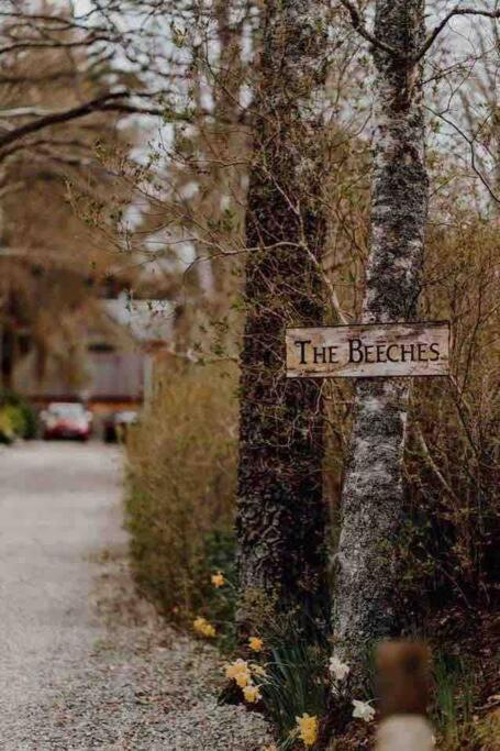 The Beeches Studio, Highlands Of Scotland Ньютонмор Экстерьер фото